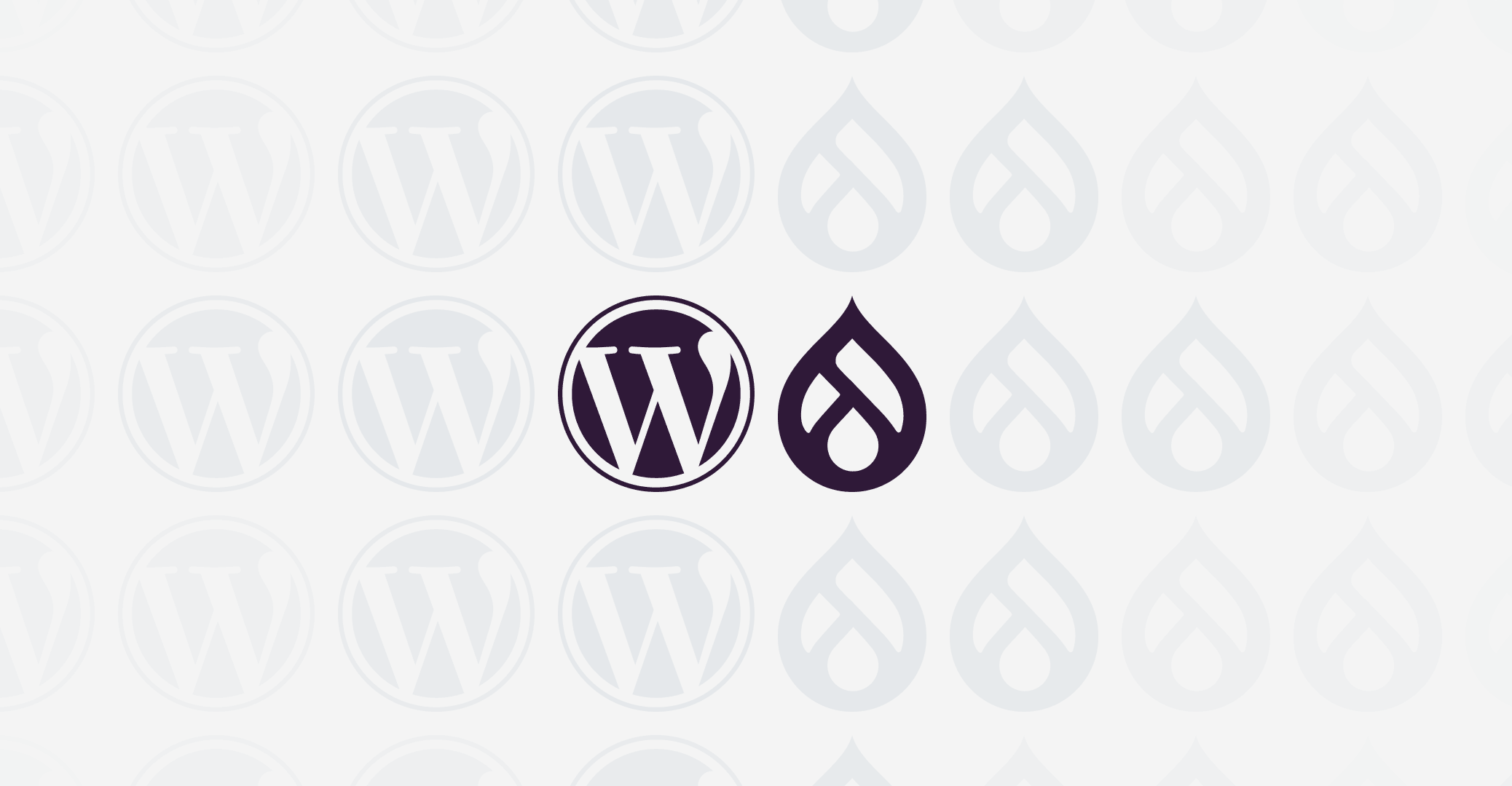 WordPress and Drupal logo marks next to one another